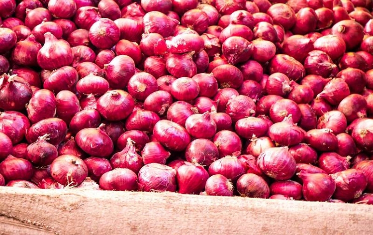 Centre imposes 40 percent export duty on Onions to improve its domestic availability