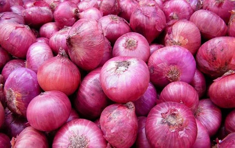 Govt raises onion buffer from 3 lakh MT to 5 lakh MT, onion to be sold at Rs 25 per kg from Aug 21