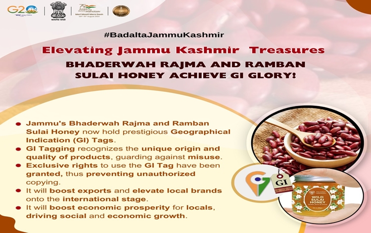 Bhaderwah Rajma & Ramban Sulai Honey of Jammu and Kashmir get GI Tag