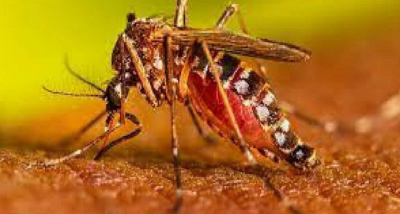 देवघर जिला उपायुक्त विशाल की अध्यक्षता में डेंगू, मलेरिया व चिकनगुनिया के रोकथाम को लेकर समीक्षा बैठक
