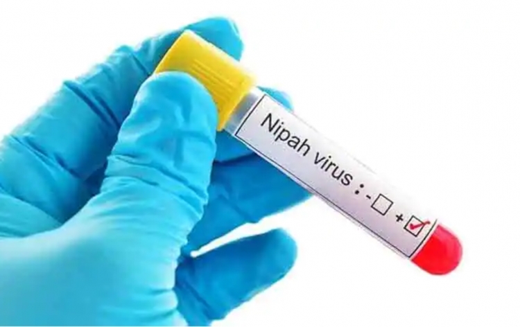 News of some relief emerges from Kozhikode in Kerala on the Nipah front, as 11 more samples test negative