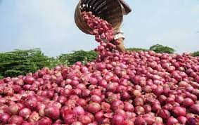 Maharashtra: Onion traders from Nashik threaten to stop auctions over export duty from 20th September