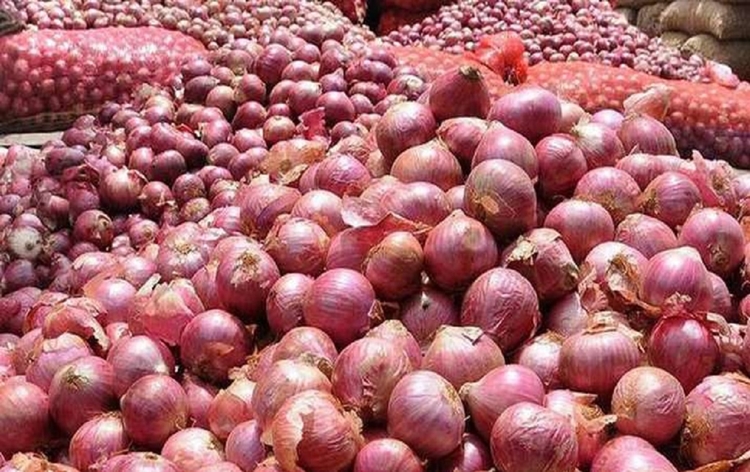 Onion traders to stop onion auctions in Nashik district of Maharashtra