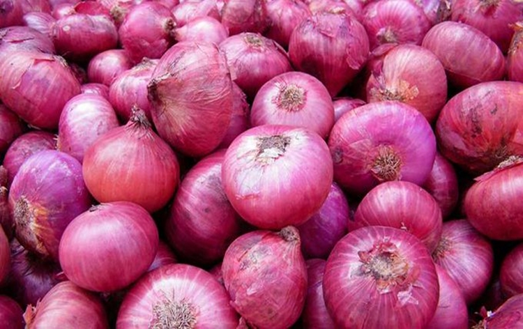 Nashik’s Guardian Minister Dada Bhuse urges traders to resume participation in onion auctions