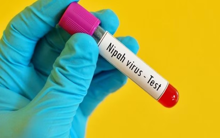 Kerala Nipah virus: All 42 samples collected from bats, wild boars and other domestic animals in district yielded negative results