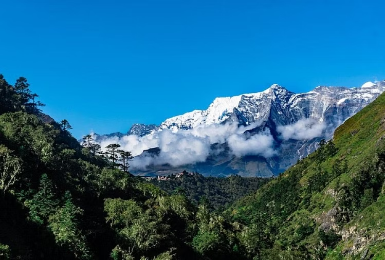 हिमालय दिवस पर उत्तराखंड में आयोजित किए गए विभिन्न कार्यक्रम