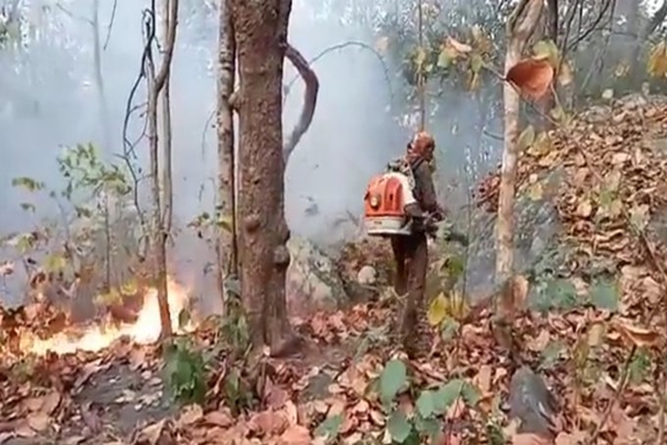 Odisha: Forest fires break out in Similipal Tiger Reserve