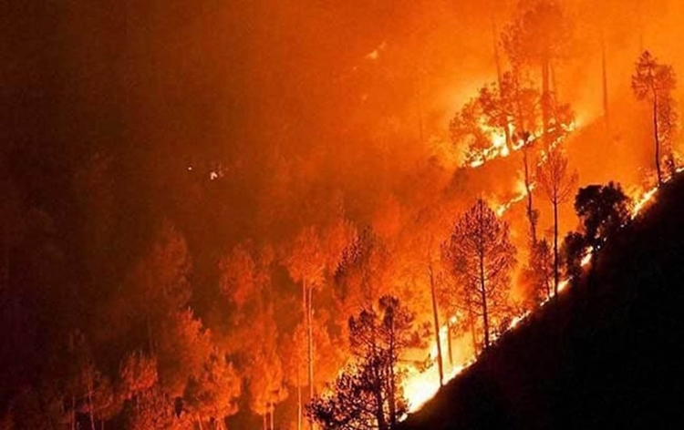 J&K: JKDMA forecasts ‘extreme forest fire’ risk in next seven days