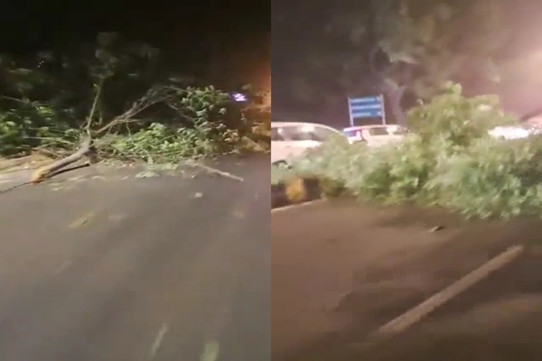 Delhi Storm Toll: Two Dead, Six Injured as Trees Uproot, Buildings Damaged