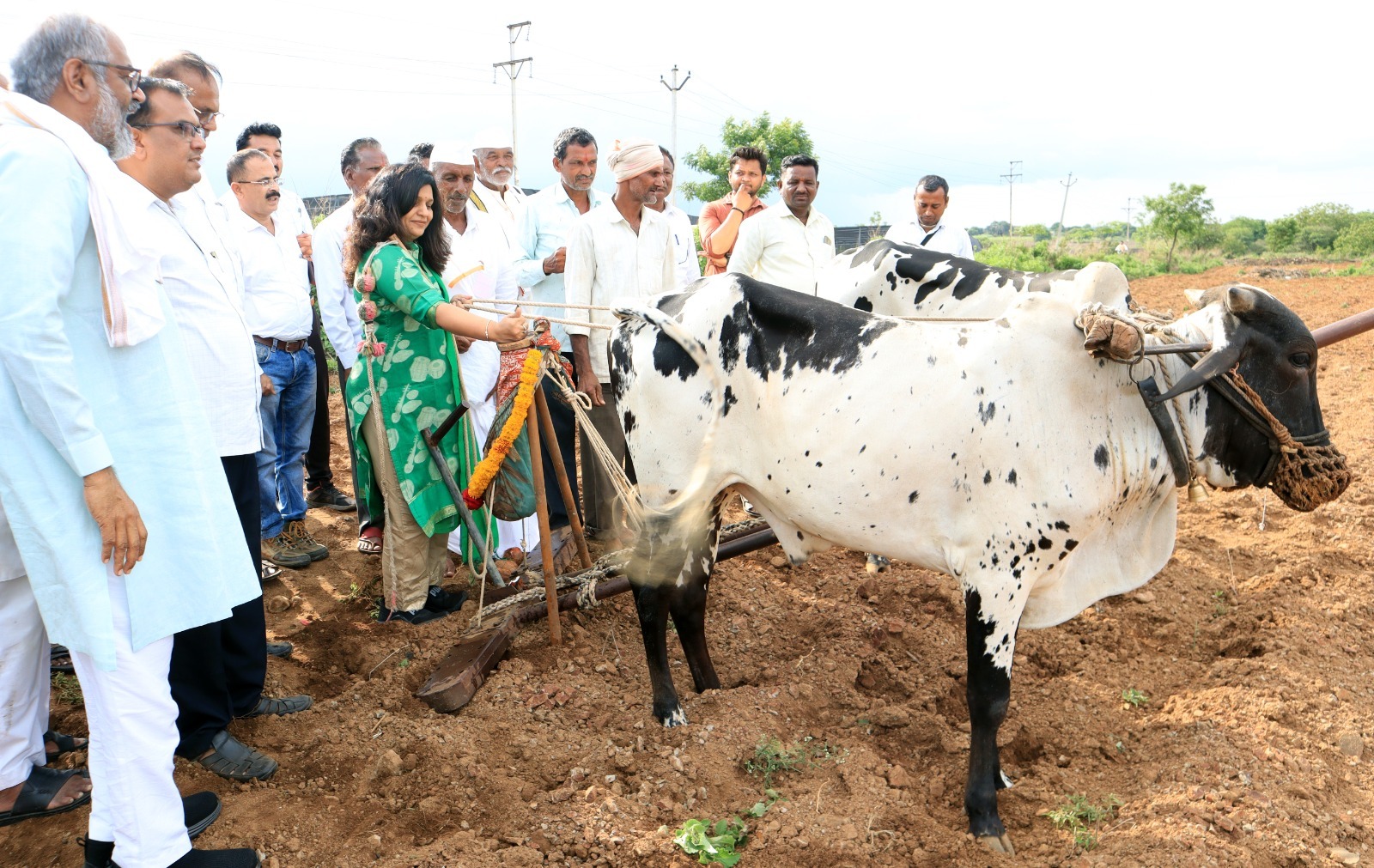 लातूर जिल्ह्यात 200 हेक्टरवर होणार ‘मिलेट’ची पेरणी