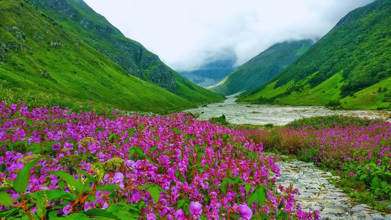 World Heritage Valley of Flowers opens for tourists in Uttarakhand