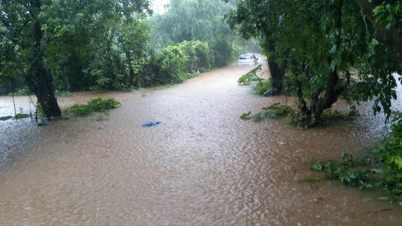 राज्याच्या बहुतांश भागात पावसाची हजेरी