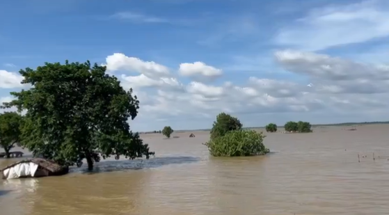 तेलंगाना में लगातार बारिश से राज्‍य के कई हिस्‍से जलमग्‍न