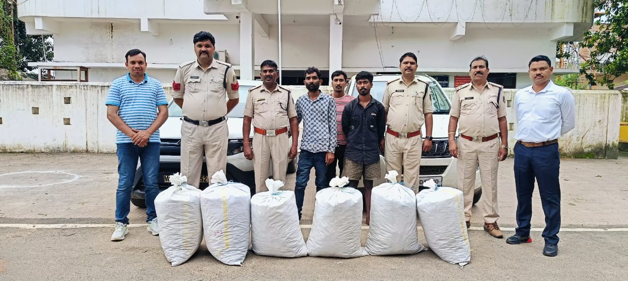 गौरेला-पेंड्रा-मरवाही जिले में साइबर सेल और गौरेला पुलिस ने गांजा की तस्करी करते तीन अंतरराज्यीय तस्करों को गिरफ्तार किया