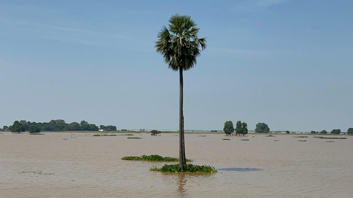 बिहार में गंगा और अन्‍य नदियों का जलस्‍तर अचानक बढ़ जाने से आई बाढ़ से लगभग 13 लाख लोग प्रभावित