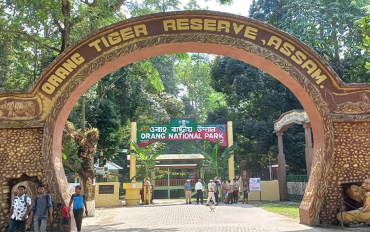 ওৰাং ৰাষ্ট্ৰীয় উদ্যান তথা ব্যাঘ্ৰ প্ৰকল্প কাইলৈ পৰ্যটকৰ বাবে মুকলি