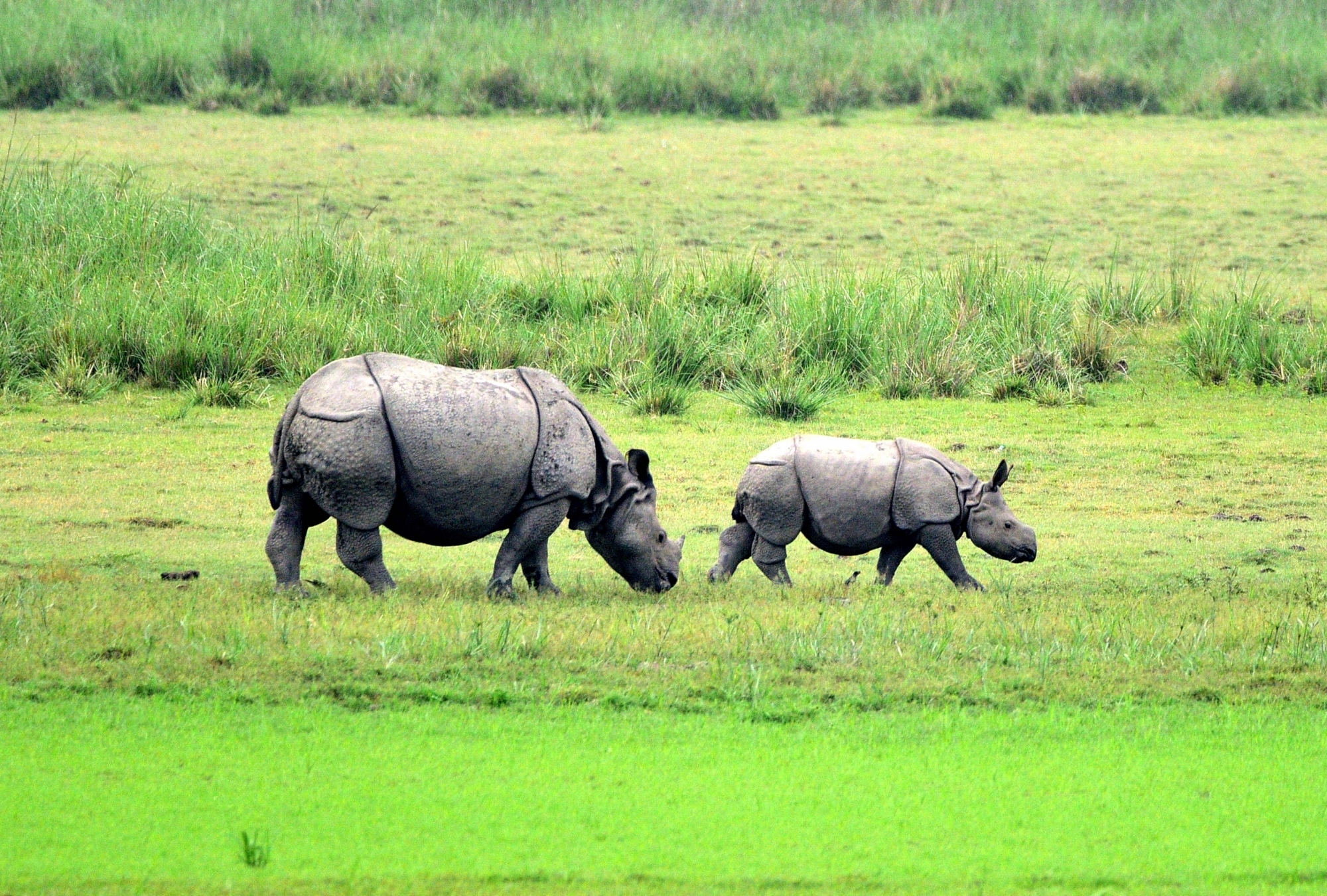 ৯ অক্টোবৰত পবিতৰা অভয়াৰণ্য মুকলি কৰা হ’ব