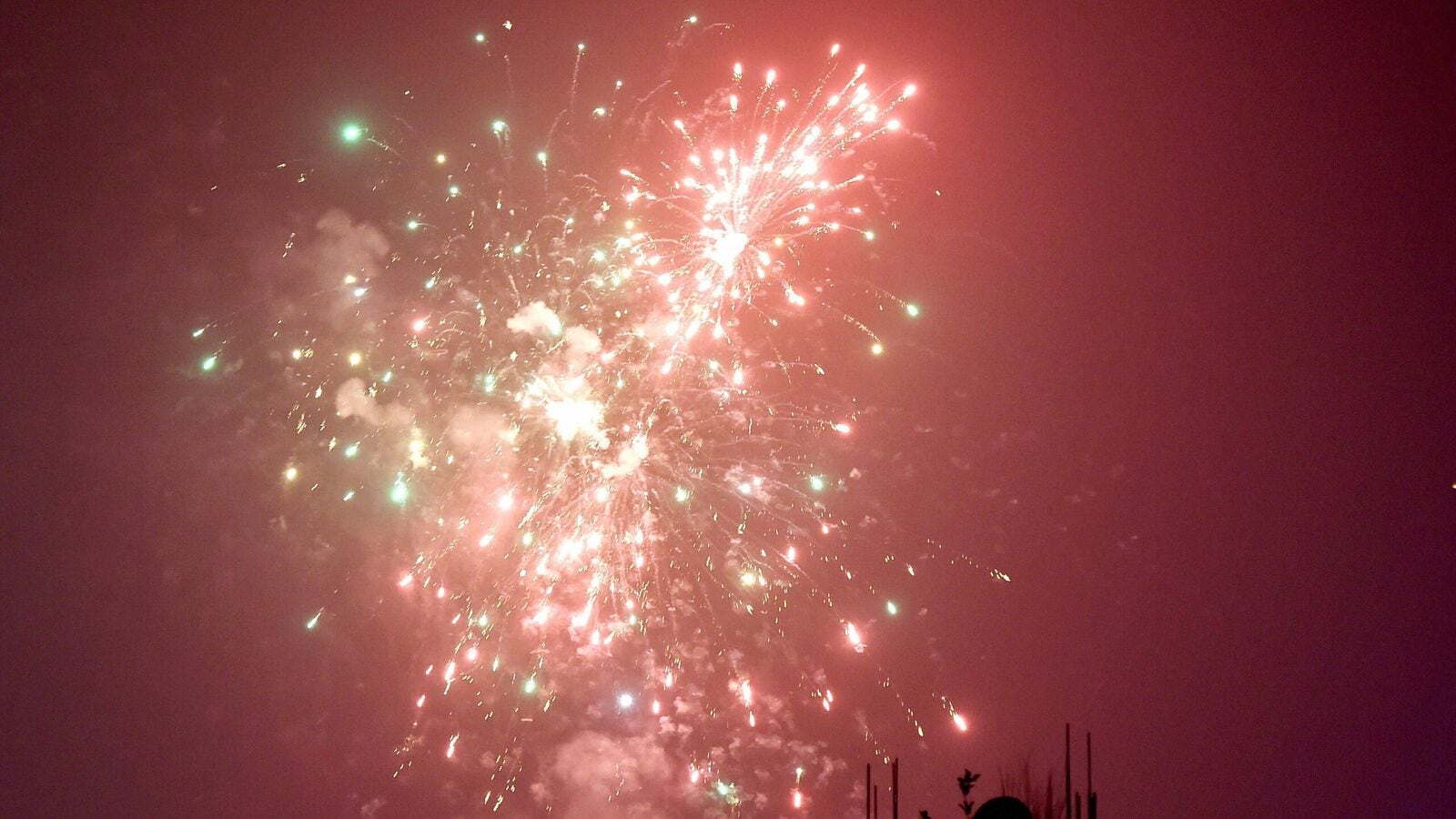 Delhi Government Imposes Total Ban on Firecrackers to Combat Pollution