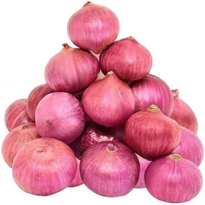 Govt selling onion at subsidised rates to reduce prices