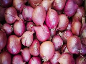 Centre begins targeted release of onions from buffer stocks to ensure adequate availability & check seasonal price rise