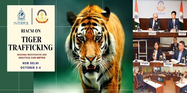 CBI organises Regional meeting to combat tiger trafficking