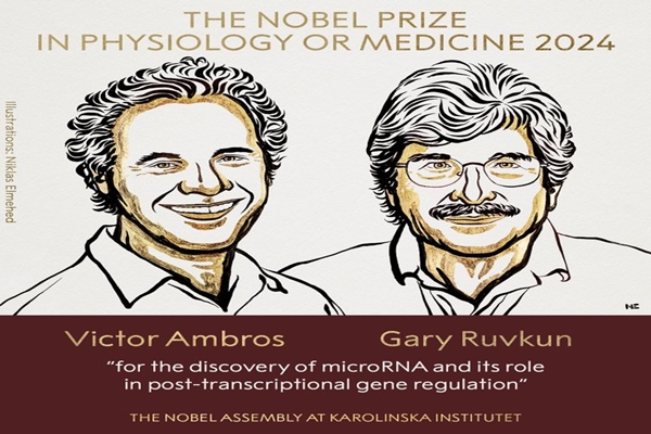 US scientists awarded 2024 Nobel Prize in Medicine for microRNA discovery