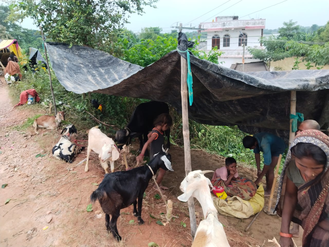 बिहार में  बाढ की स्थिति गंभीर; बागमती और अधवारा समूह की नदियां उफान पर