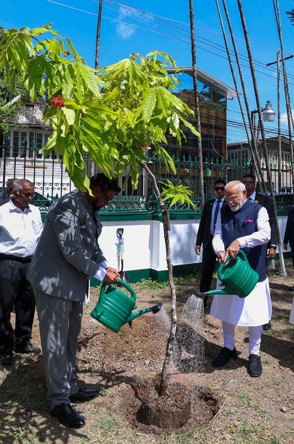 ‘এক পেড় মা কে নাম’ পদক্ষেপত গায়েনাৰ ৰাষ্ট্ৰপতিৰ সমৰ্থনৰ বাবে ধন্যবাদ জ্ঞাপন প্রধানমন্ত্ৰীৰ