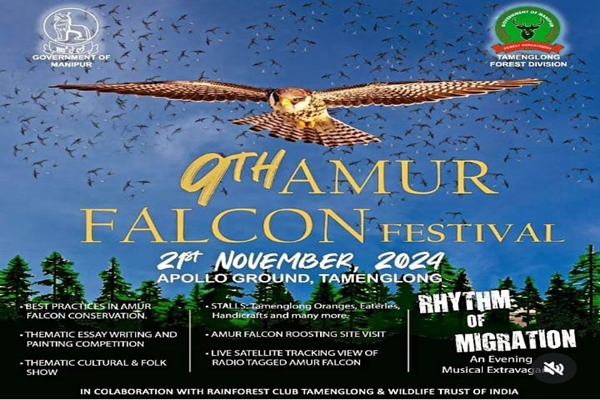 9th Amur Falcon Festival celebrated with great fervour in Manipur