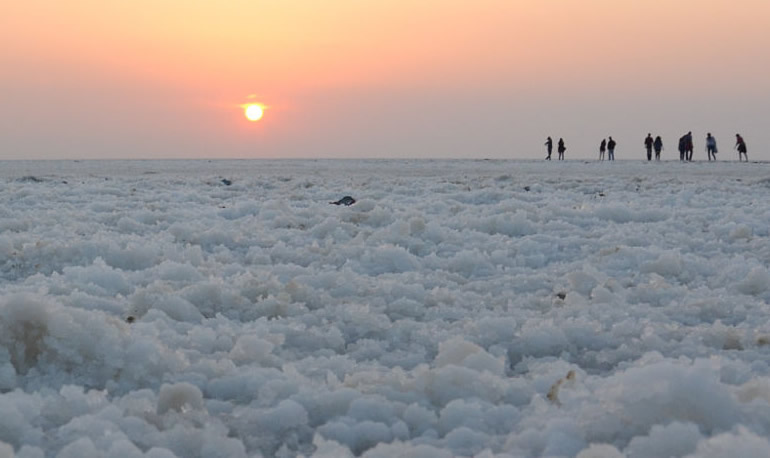 આજથી ધોરડો ખાતે કચ્છ રણોત્સવનો પ્રારંભ થશે