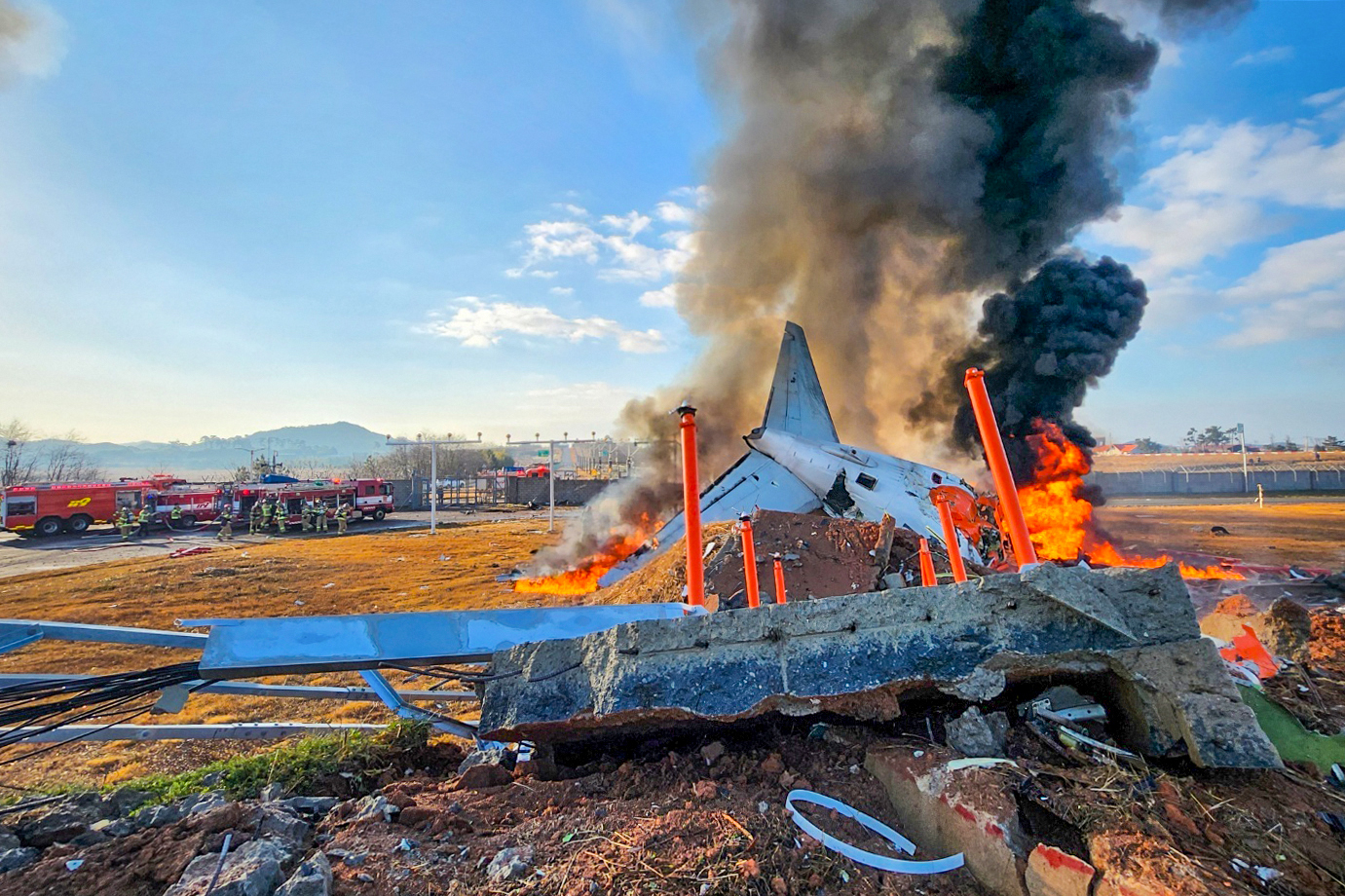 South Korea: Bird strike emerged as a possible factor in plane crash in Muan International Airport