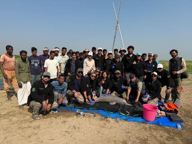 India Marks Historic First Ganges River Dolphin Tagging in Assam as Part of Project Dolphin