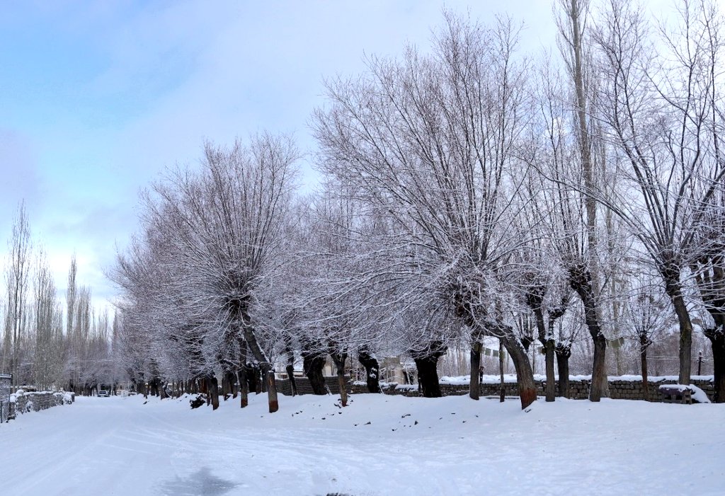 Ladakh witnesses severe cold wave; Temperature hovers below sub-zero level