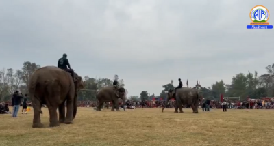 18th Elephant and Tourism Festival in Chitwan Attracts Tourists with Unique Events and Activities