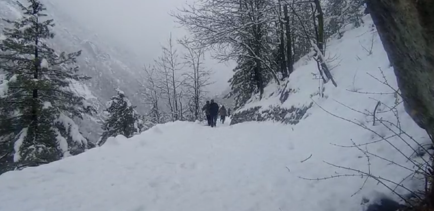 उत्तराखंड के ऊपरी इलाकों में बर्फबारी और निचले हिस्सों में बारिश से तापमान में गिरावट