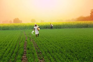 Jan Seva Se Desh Seva: Large number of farmers in MP benefited from PM-KISAN scheme