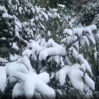 Uttarakhand experiences season’s first snowfall