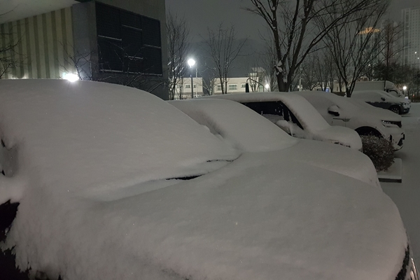 Heavy Snow Hits South Korea, Disrupting Flights & Ship Routes