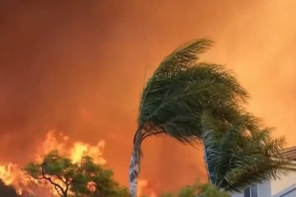 USA: Los Angeles Faces Escalating Wildfire Threats as Santa Ana Winds Intensify