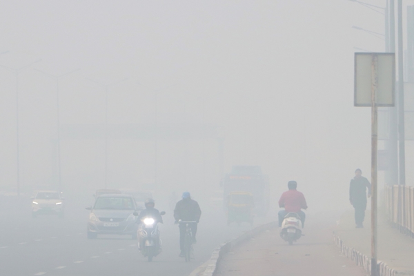 Cold Wave, Dense Fog Disrupts Transport in North India; 25 Trains, 50 Flights Delayed