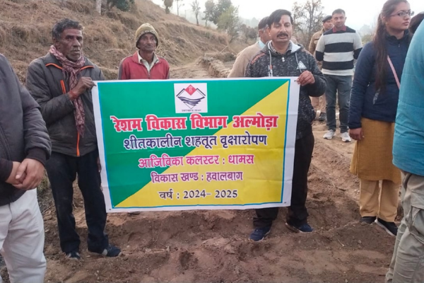 अल्मोड़ा के धामस ग्राम में कलस्टर आधारित शहतूत वृक्षारोपण का शुभारंभ