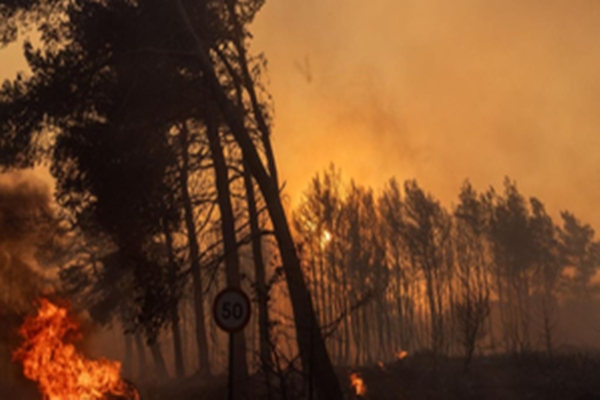 Australian bushfire prompts evacuation order