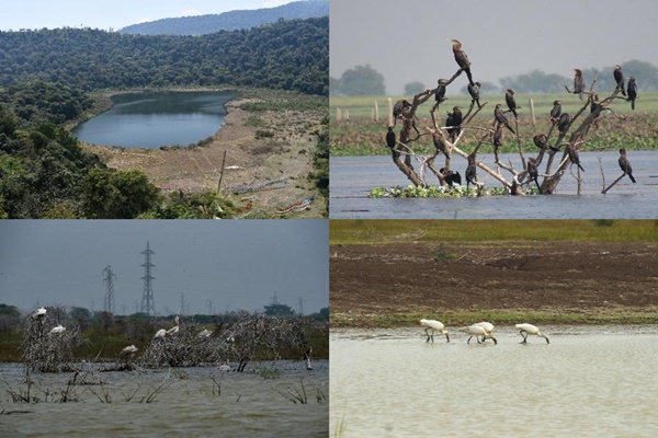 India Adds 4 New Ramsar Sites, taking total to 89