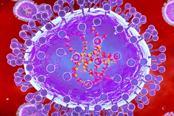 دلی کے صحت حکام نے کَلHuman Meta Pneumo Virus اور سانس سے متعلق دیگر وائرس سے منسلک ممکنہ صحت چیلنجوں کے لیے تیاری کو یقینی بنانے کے لیے ایک ایڈوائزری جاری کی۔