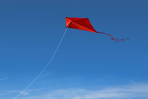 Telangana inaugurates 3-day International Kite, Sweet Festival at Parade Grounds