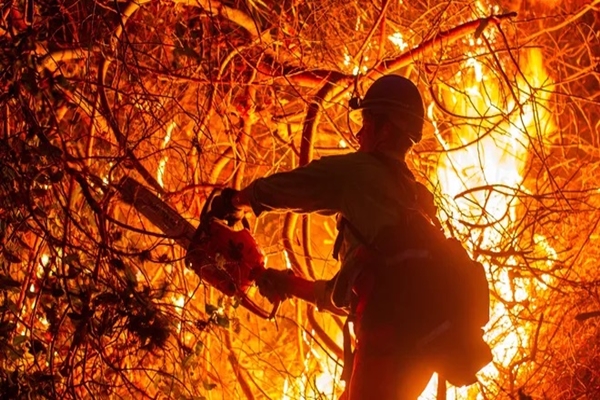 Los Angeles Wildfires cause widespread destruction, 25 dead