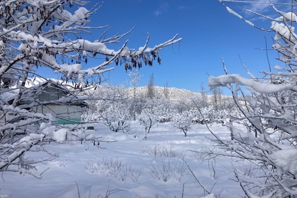 IMD forecasts scattered rainfall, snowfall over Western Himalayas