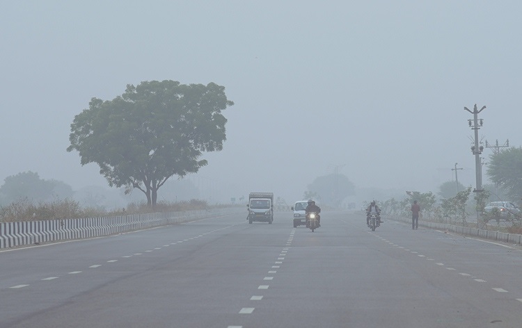 उत्तर भारतात अनेक ठिकाणी कडाक्याची थंडी आणि दाट धुक्यामुळे जनजीवन विस्कळीत