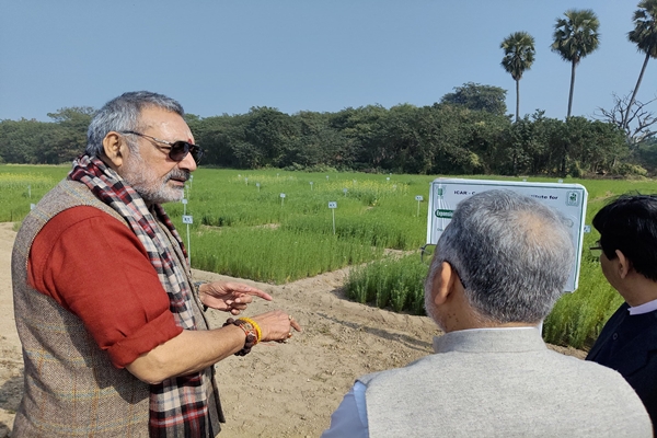 ಕೇಂದ್ರ ಸರ್ಕಾರವು ಸೆಣಬಿನ ಕೃಷಿ ಮತ್ತು ಉದ್ಯಮವನ್ನು ಉತ್ತೇಜಿಸುತ್ತದೆ, ಸೆಣಬಿನ ಬೆಲೆಗಳನ್ನು ಹೆಚ್ಚಿಸುತ್ತದೆ