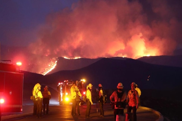 Recent Wildfires in Los Angeles County Cause Estimated Losses of Up to $164 Billion